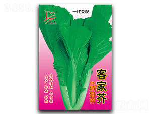 �ͼҽ������-��˷N��-�}�ʷN�I