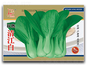 �����彭��-��˷N��-�}�ʷN�I