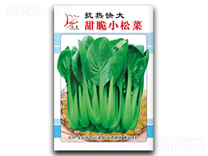 ���������С�ɲ�-�ɲ˷N��-�}�ʷN�I