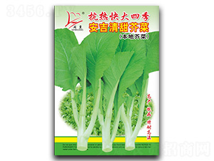 ����������-��˷N��-�}�ʷN�I