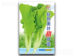 �����S�~����-��˷N��-�}�ʷN�I