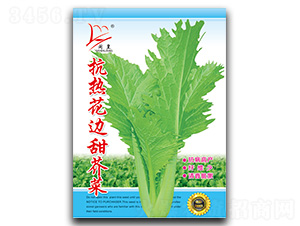 ���Ứ߅����-��˷N��-�}�ʷN�I