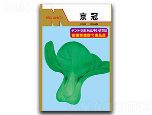 ����-��˷N��-�}�ʷN�I