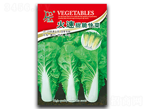 ���������-��˷N��-�}�ʷN�I