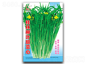 ����Ҭ�~�����-���ķN��-�}�ʷN�I