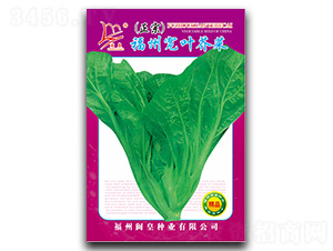 ���݌��~���-��˷N��-�}�ʷN�I