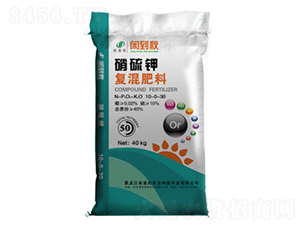 ����⛏ͻ����-�����r�I