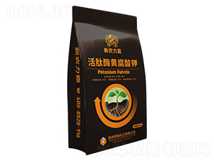 ����ø�S�����-���r����-���𻯹�