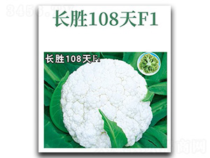 �L��108��-��Ҭ�˷N��-���d