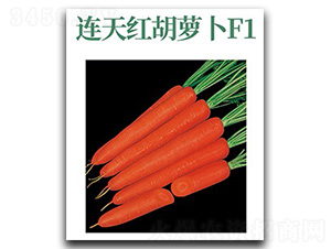 �B��t-���}���N��-���d