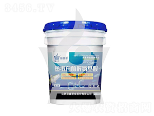 �~����ø�ⰱ����-ʩ��S-���ηʘI