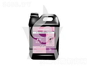 �ͺ�����̼���������-ʩ��S-���ηʘI(y��)