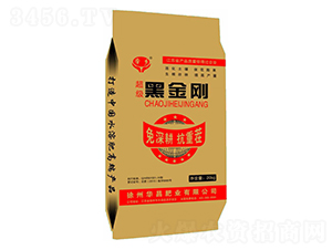 �����ڽ���-�A���ʘI