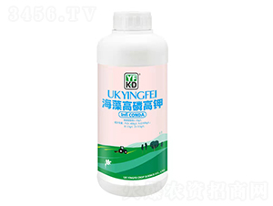 ������׸��-��Դ�S�\