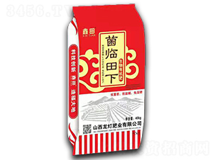 �����ЙC��-���R����-�����ʘI