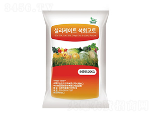 �n�����}�V�����{�턩-���r���F