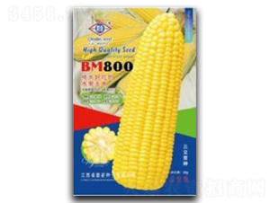 BM800-ˮ�����׷N��-�_���r�Y