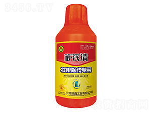 �Ѹ���������-������-�t��