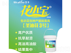 ʥ�ͻ�3̖-�����N��-ʥ�S�N�I