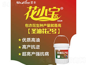 ʥ�ͻ�2̖-�����N��-ʥ�S�N�I