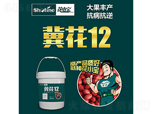 ����12-�����N��-ʥ�S�N�I