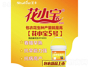 ��С��5̖-�����N��-ʥ�S�N�I