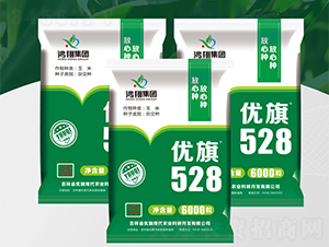 ����528-���׷N��-����N�I