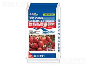 ��ݮ���t����������T����-���혷