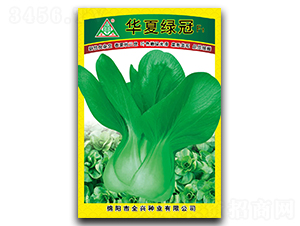 �A�ľG��-�๣�˷N��-ȫ�d�N�I