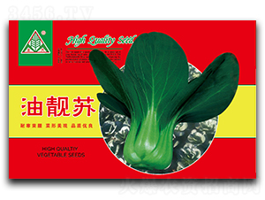 ���n�K-�๣�˷N��-ȫ�d�N�I