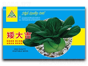 ����-�๣�˷N��-ȫ�d�N�I