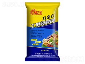 �f�������ޏ̈́�-ِ��-ʩ���S