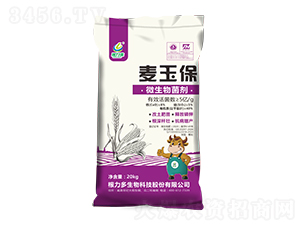 ΢�������-����-������