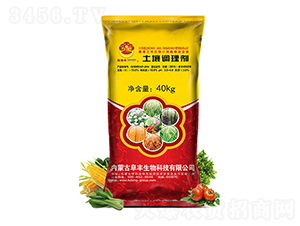 �����{�턩-������-���S����