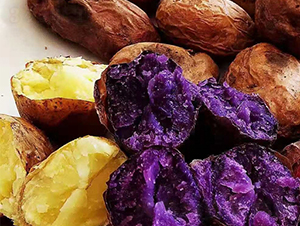 ������-�����N��-���S�N�I