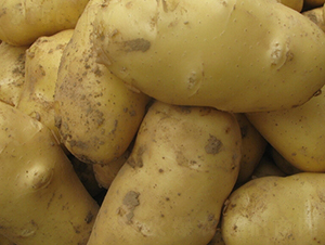 ���S12̖-�����N��-���S�N�I