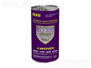 �������߾�-���oӰ-�Z����