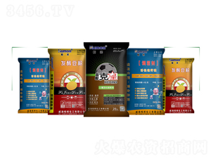 �����{�턩-����