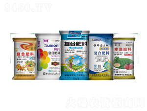 ��Ҏ��-����