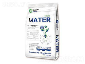 �����{�ᄩTD-1-�|������