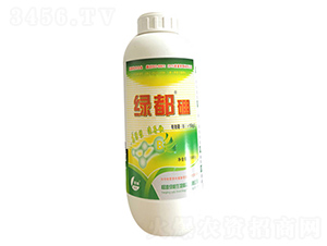 1000g�G����-�G��