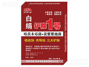 �׽����P��1̖-(li��n)�r(n��ng)���S��