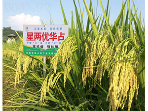 �ǃɃ��Aռ-ˮ���N��-Ԭ�Z