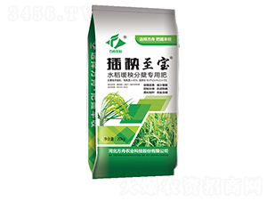 �ЙC���������{����-��������-�����r�I