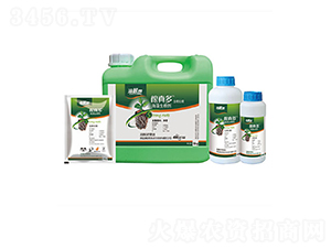 ����ຣ��������-���L�`