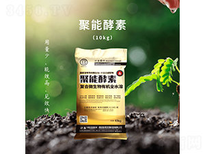 ���ܽ���-��������