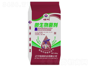 ΢�������-�㝙��-�㝙�r�I