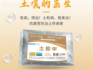 �����{�턩-������-���S����