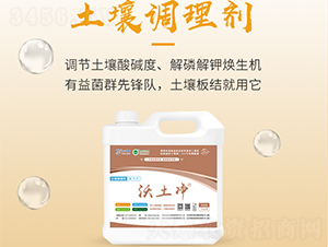 �����{�턩-������-���S����