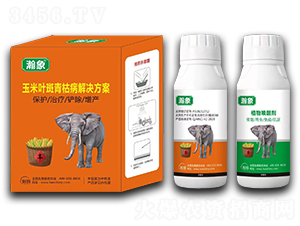 �����~����ݲ���Q����-���-嫪{